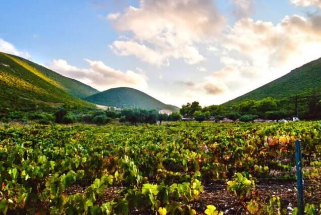 Artemis-Historic Peloponnese and Zakynthos